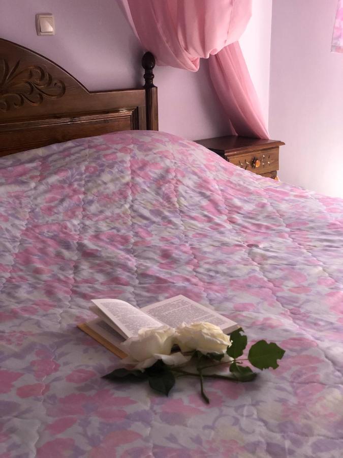פטריך Elena Hotel מראה חיצוני תמונה